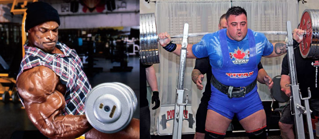 Differences Between Bodybuilding And Powerlifting